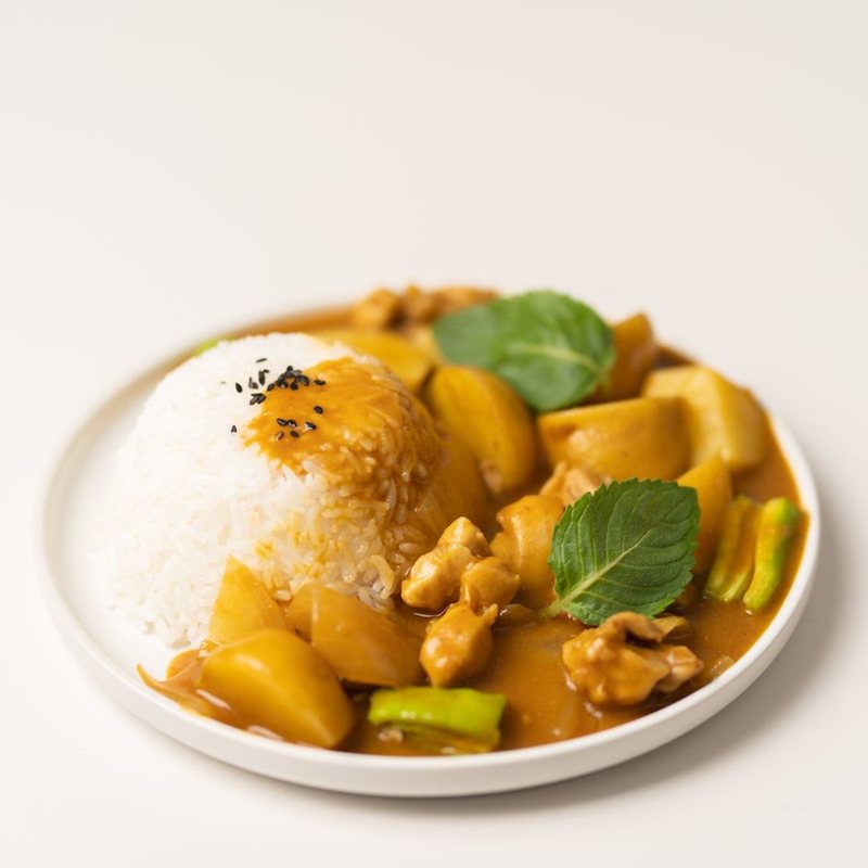 A bowl of chicken curry with rice